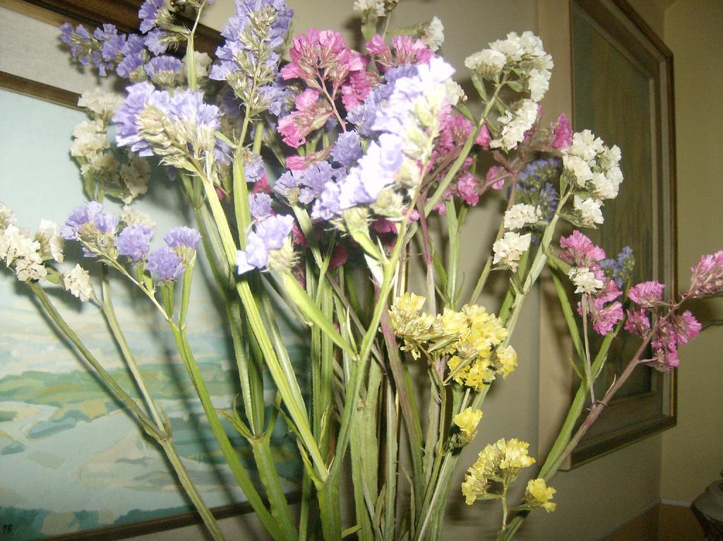 Il Giardino Delle Farfalle Valgioie エクステリア 写真